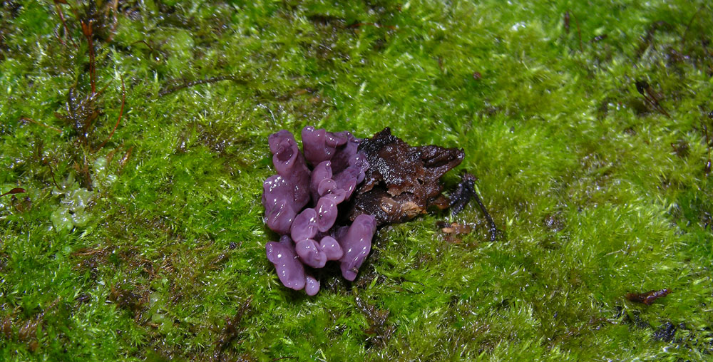 Svuotando l''archivio 2009...parte1